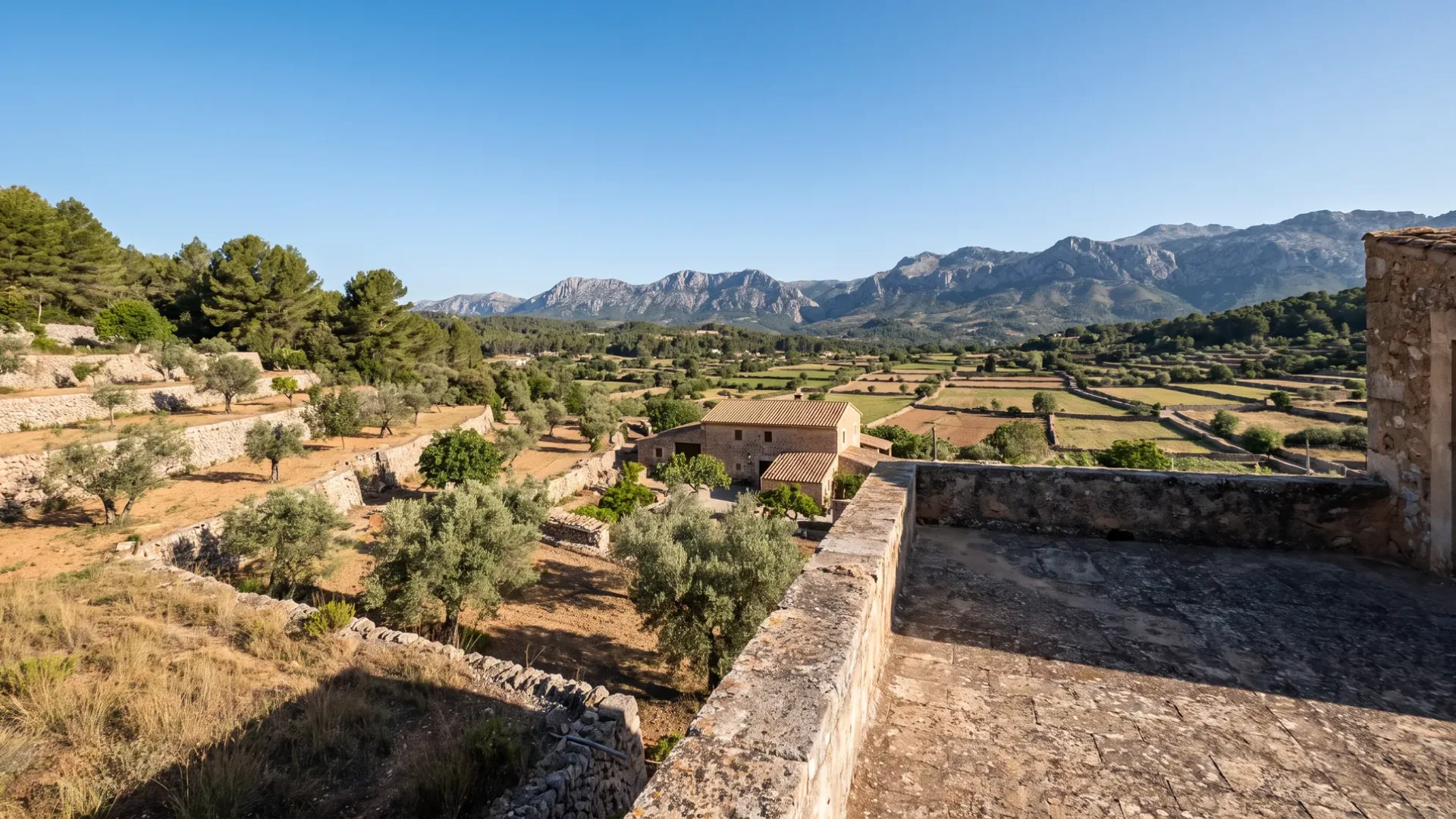 Olive terraces on dry stone marges stepping down to farmland, with the Serra de Tramuntana beyond
