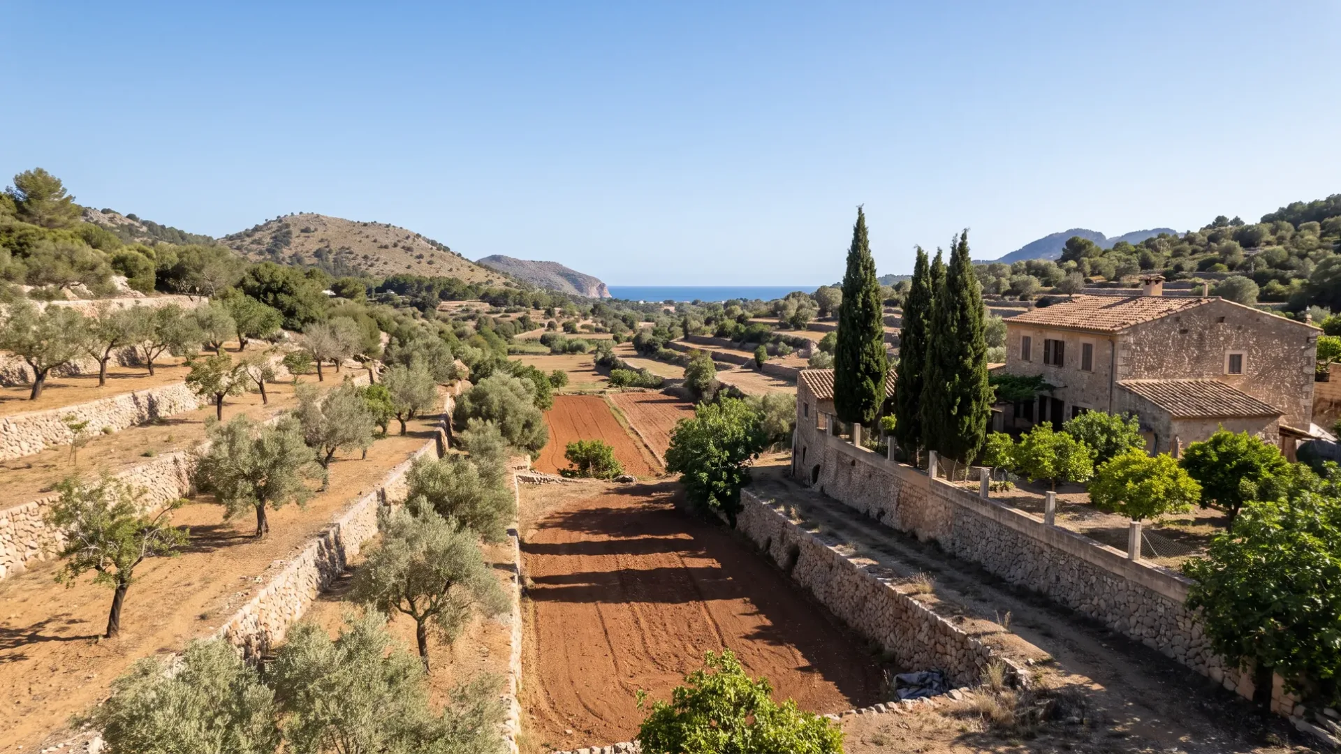 Almond and carob terraces above the farmed valley at Calvià, with cypress and citrus beside a stone house