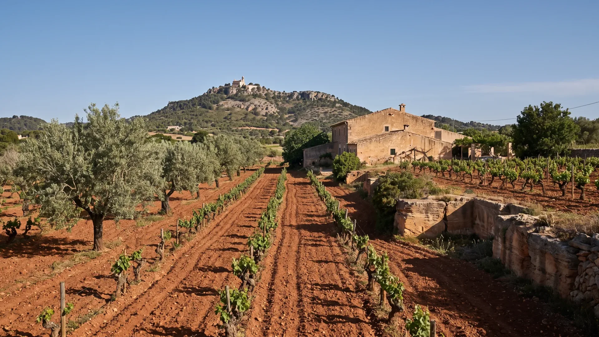Red terra rossa vineyards and olives at Felanitx, with a marès sandstone finca and Sant Salvador beyond