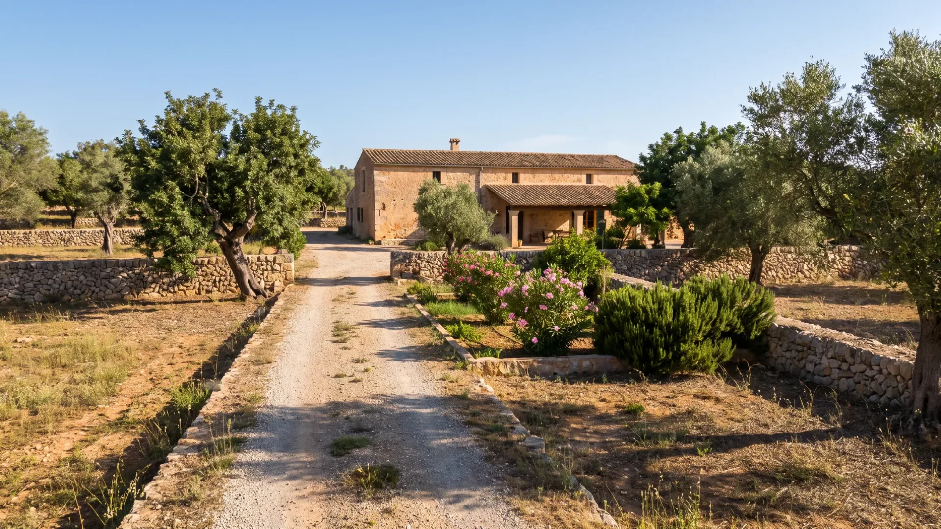 A long stone Mallorcan farmhouse among carob and almond, with dry stone walls and a gravel track