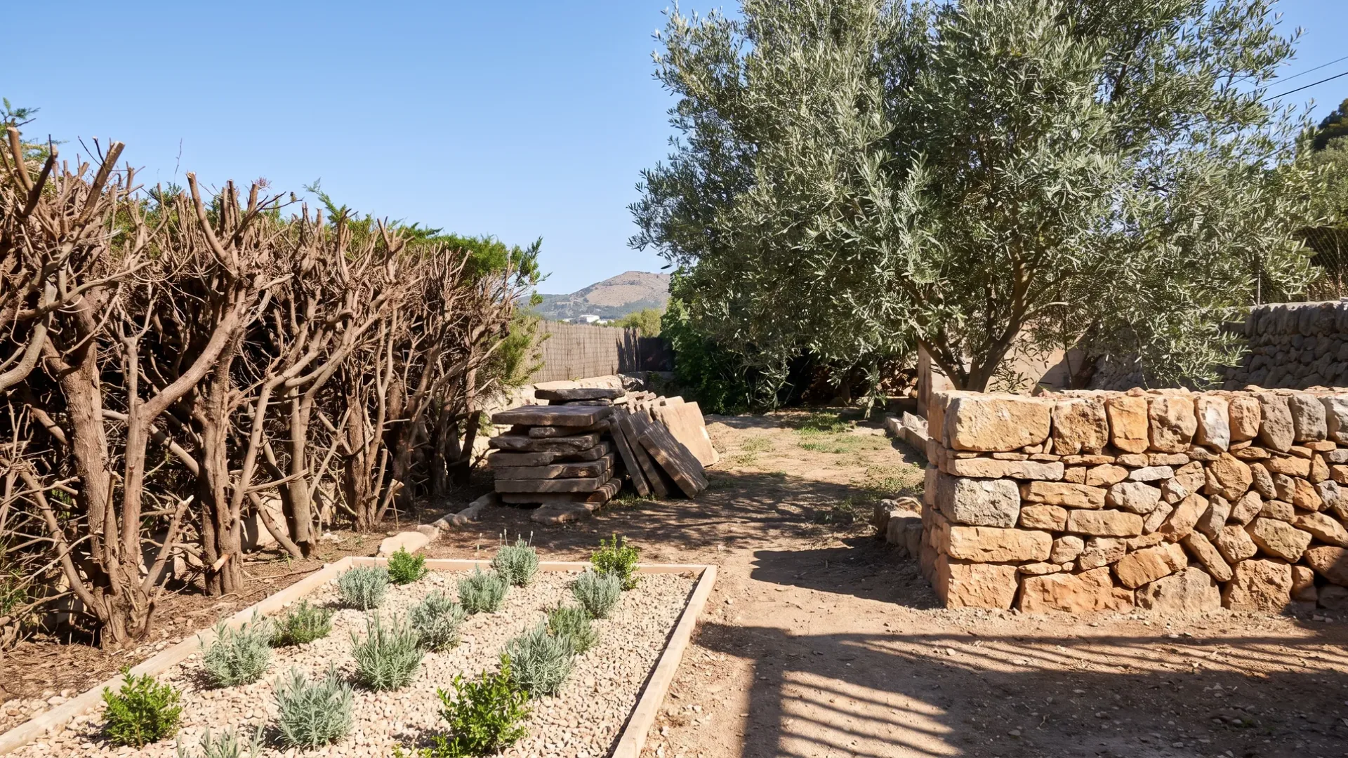 A Mallorcan garden mid renovation: a hedge cut back hard, lifted paving stacked, and a newly planted gravel bed