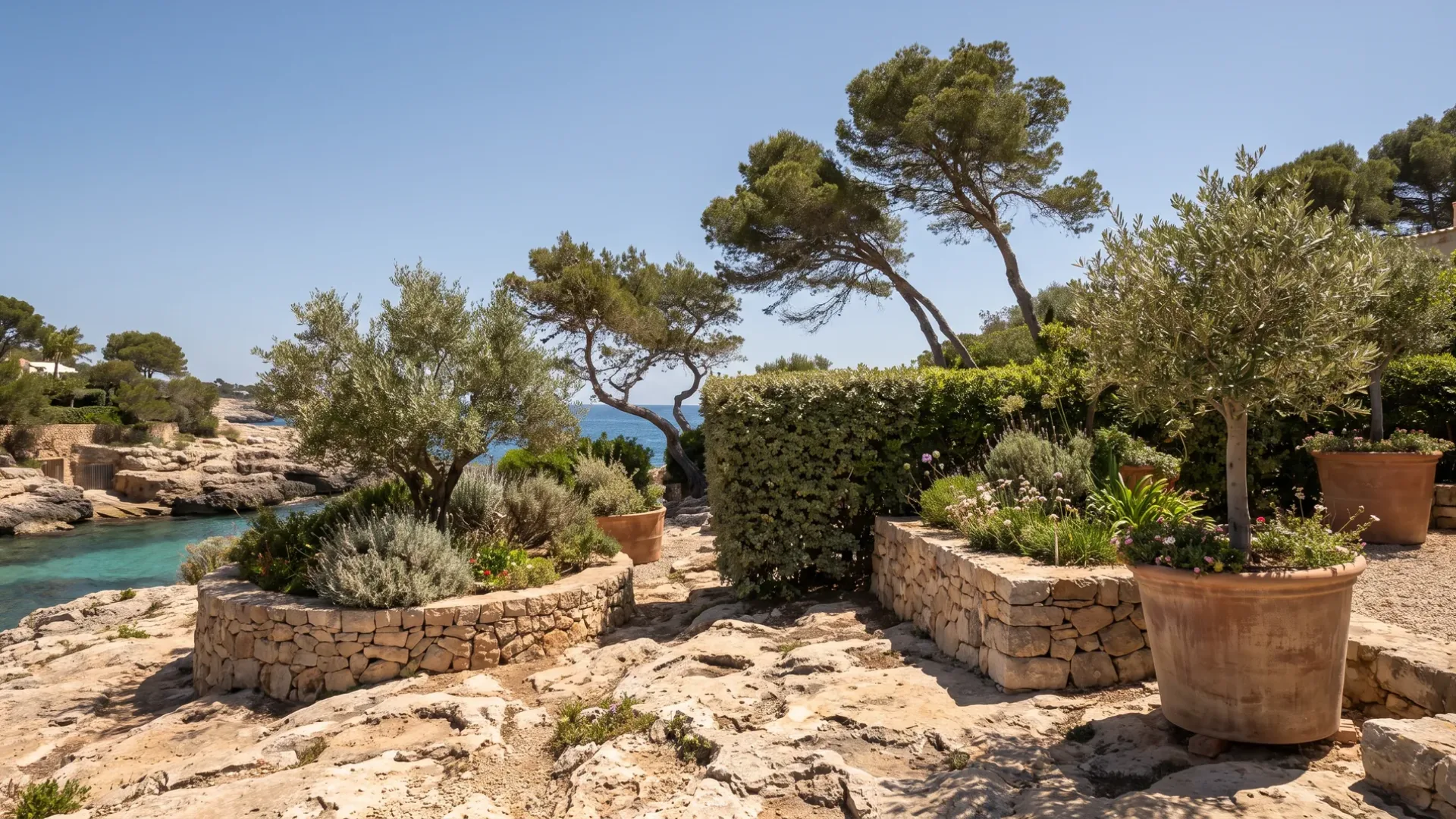 Built stone beds and large containers on bare rock at Illetes, with salt shaped pines above a clear cove