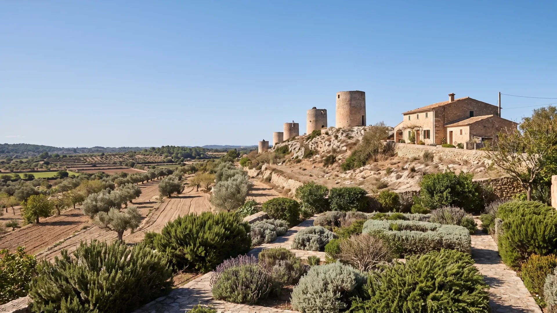 Stone windmill towers on the ridge at Montuïri, with low wind resistant planting keeping the long view open