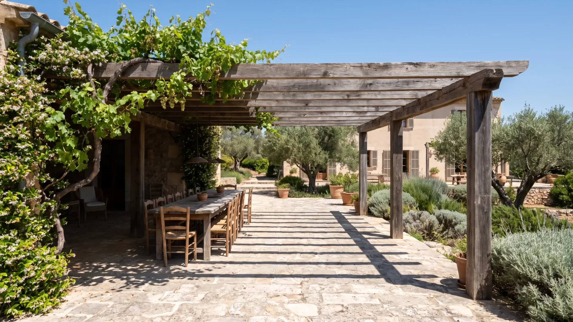 A timber pergola with an old grapevine casting hard shade over a long dining table on a stone terrace