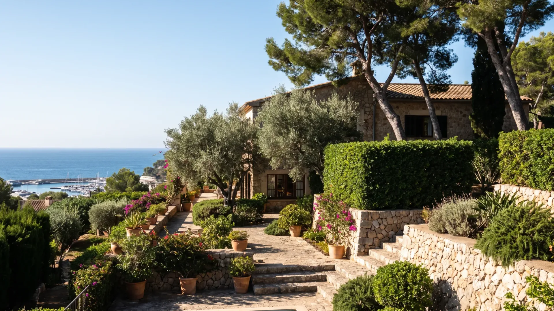 A mature terraced garden above Portals Nous with overgrown hedging and pines, the marina and the sea below
