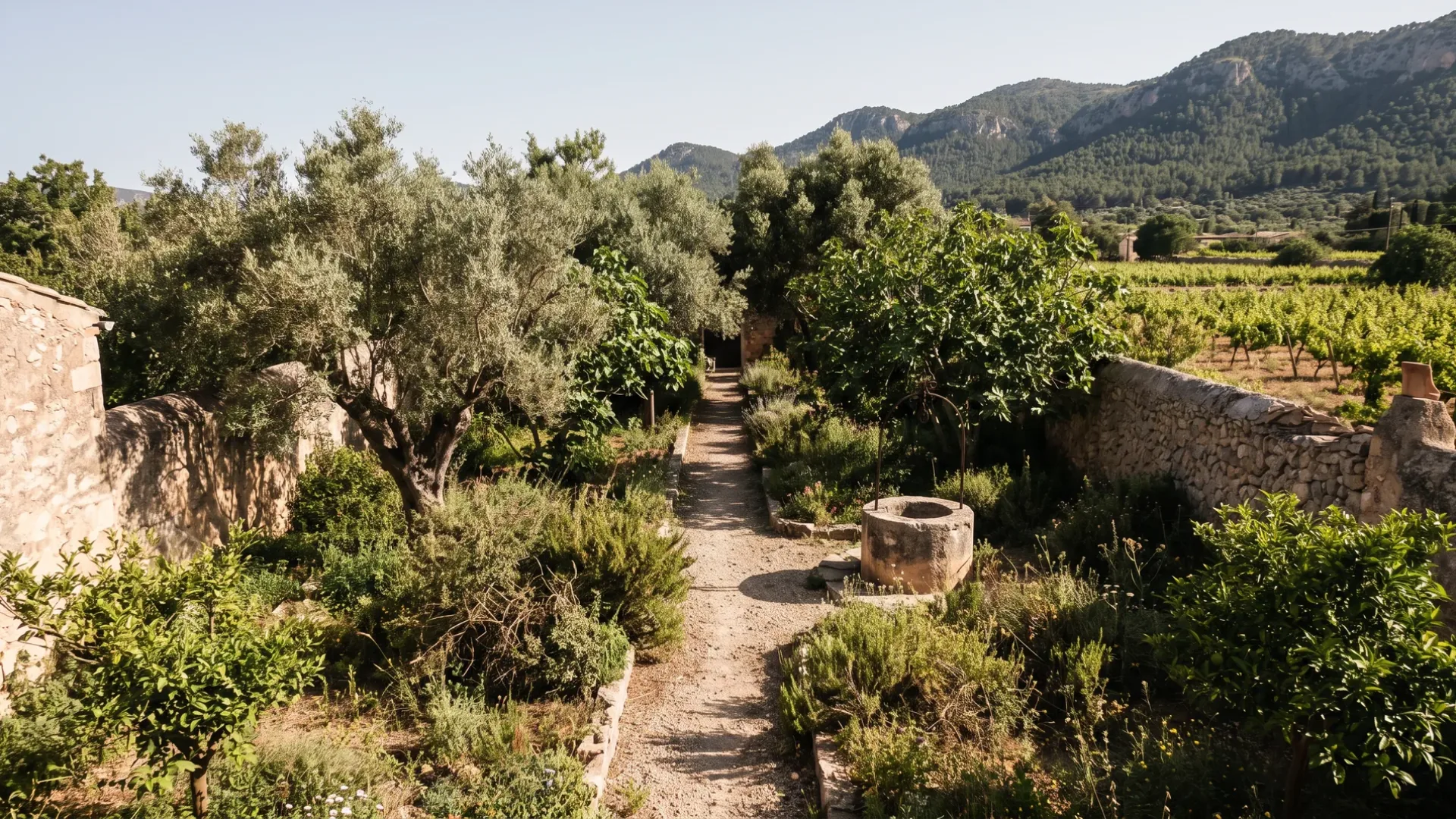A long walled garden of mature fruit trees behind a stone house at Santa Maria del Camí, with vineyards beyond