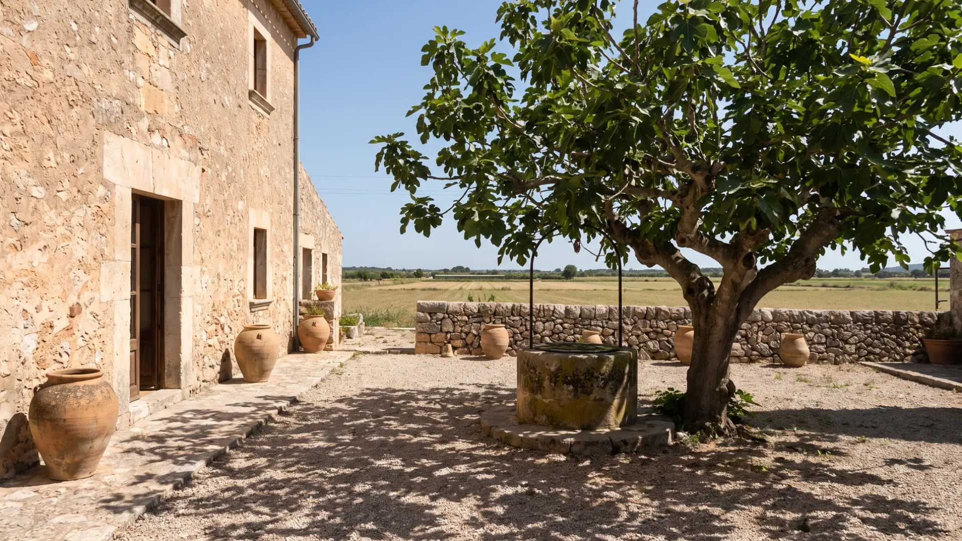 A stone house at Sineu with terracotta oil jars, an old fig and a well head, and the Pla farmland beyond the wall